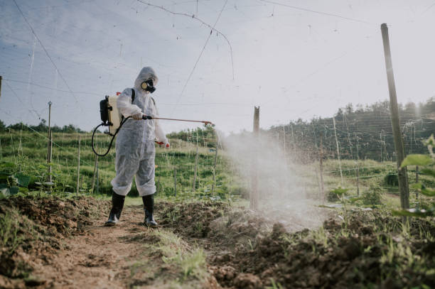 Best Affordable Pest Control Services  in Whitwell, TN