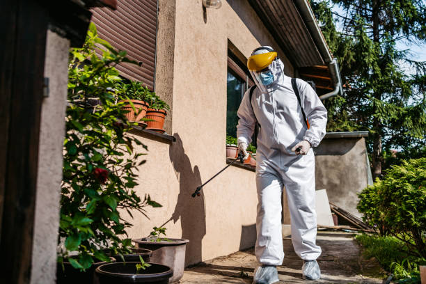 Best Affordable Pest Control Services  in Whitwell, TN