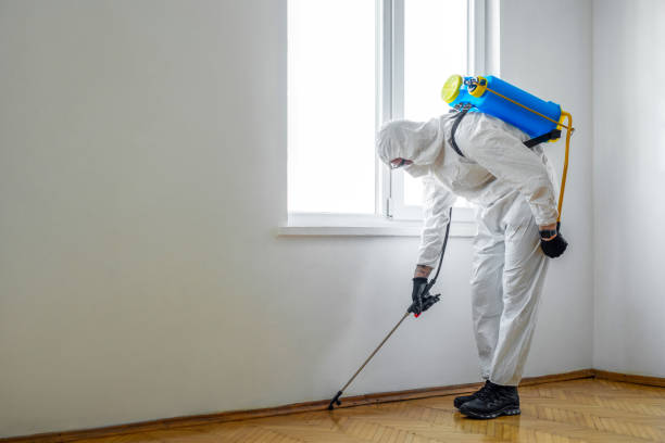 Best Emergency Pest Control  in Whitwell, TN