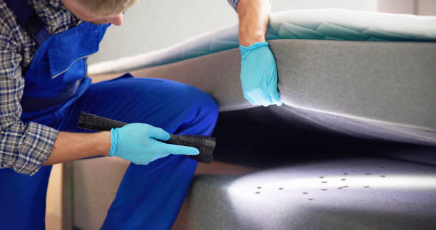 Best Rat Extermination Near Me  in Whitwell, TN