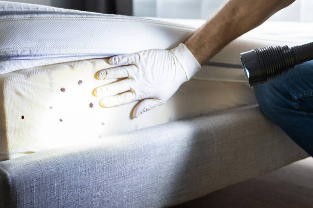 Best Wasp Removal Services  in Whitwell, TN