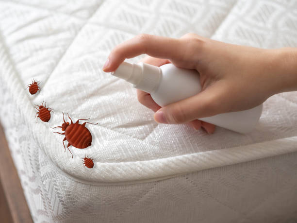 Best Pest Control Near Me in Whitwell, TN