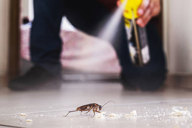 Reliable Whitwell, TN Pest Control Solutions