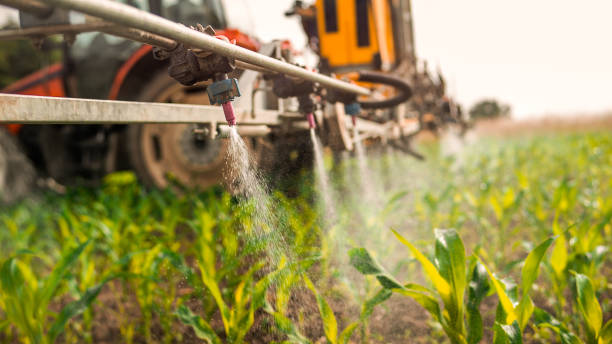 Best Pest Control Cost  in Whitwell, TN